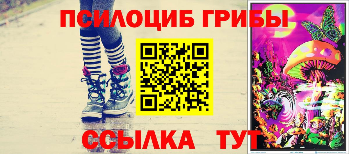Сорочинск  Галлюциногенные грибы Psilocybine cubensis  Вход с VPN 