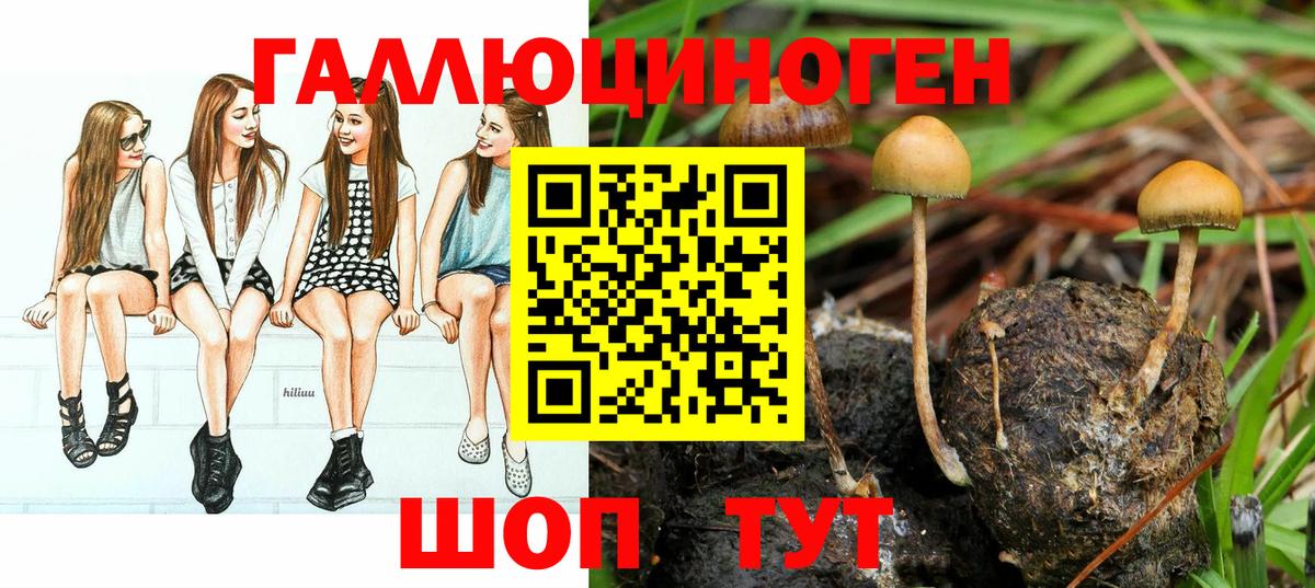 Псилоцибиновые грибы MAGIC MUSHROOMS Сорочинск